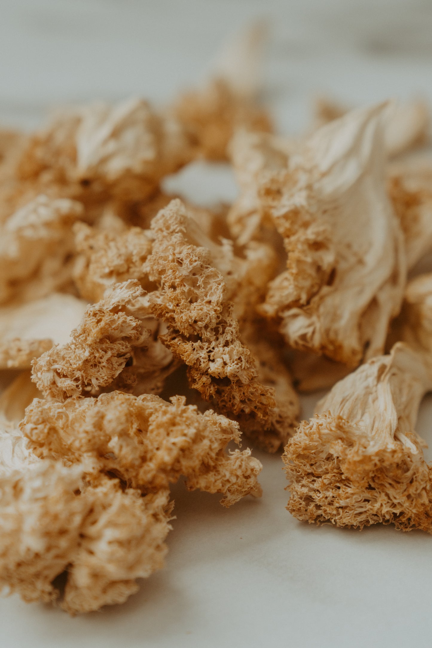 Sun-Dried Lion’s Mane Powder - 1 oz